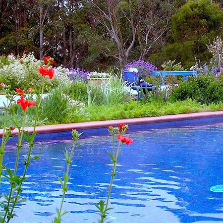 Lemonade Creek Cottages Lorne Exterior foto