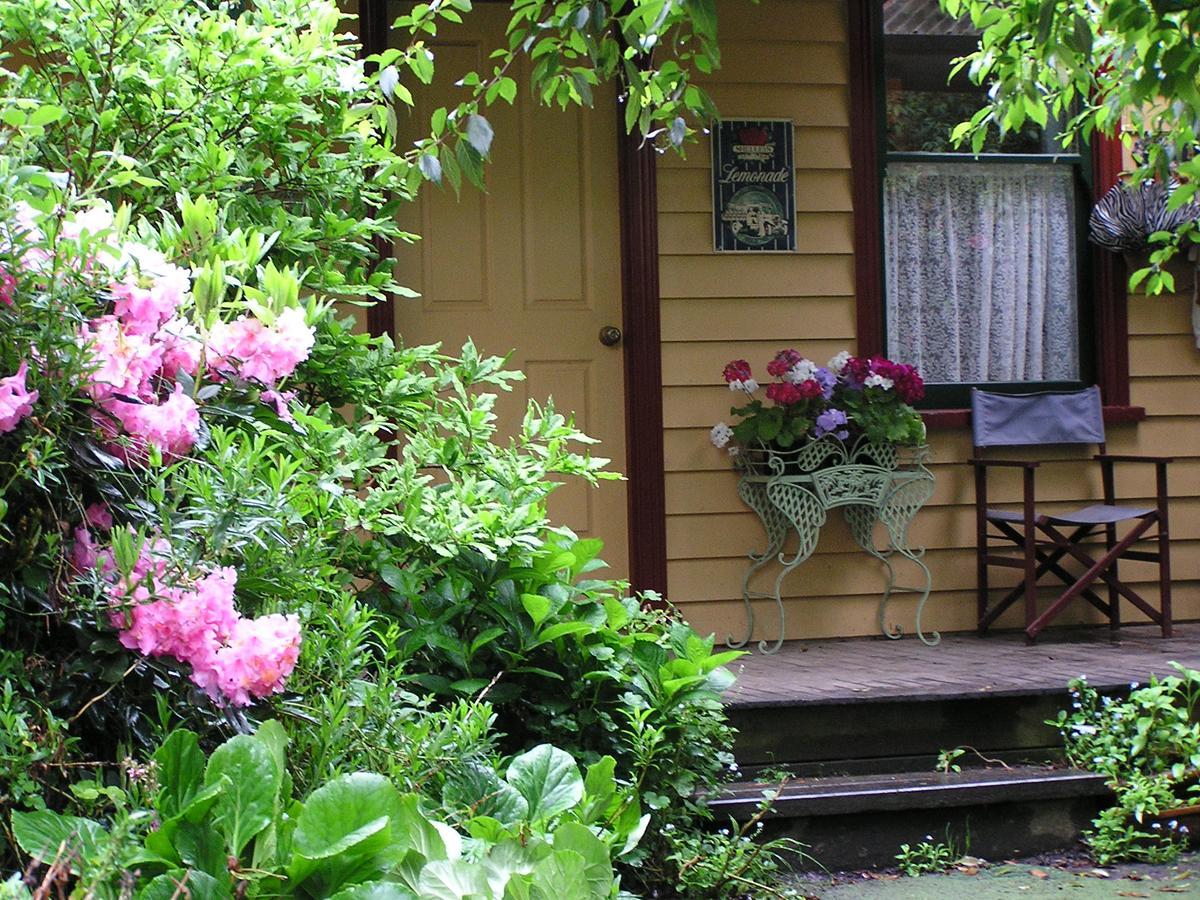 Lemonade Creek Cottages Lorne Exterior foto