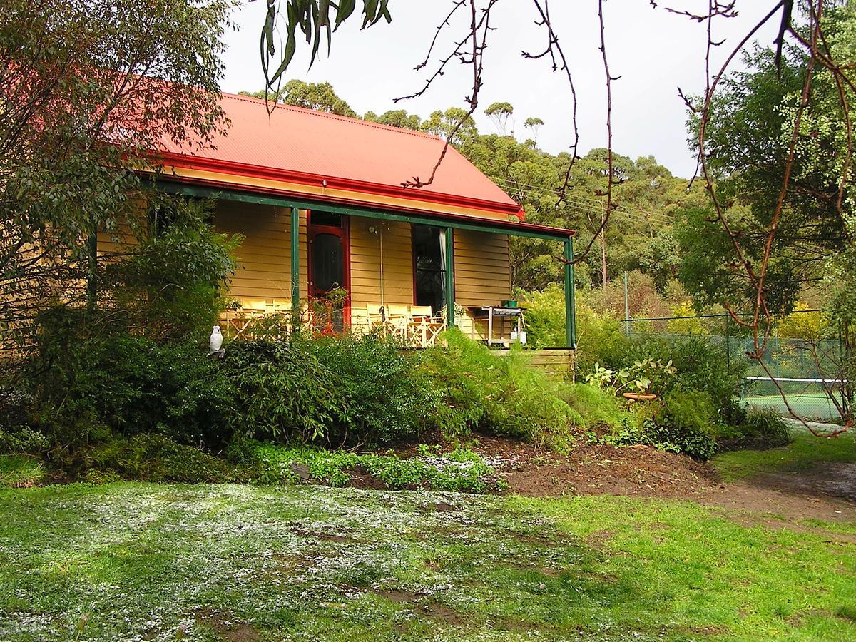 Lemonade Creek Cottages Lorne Exterior foto
