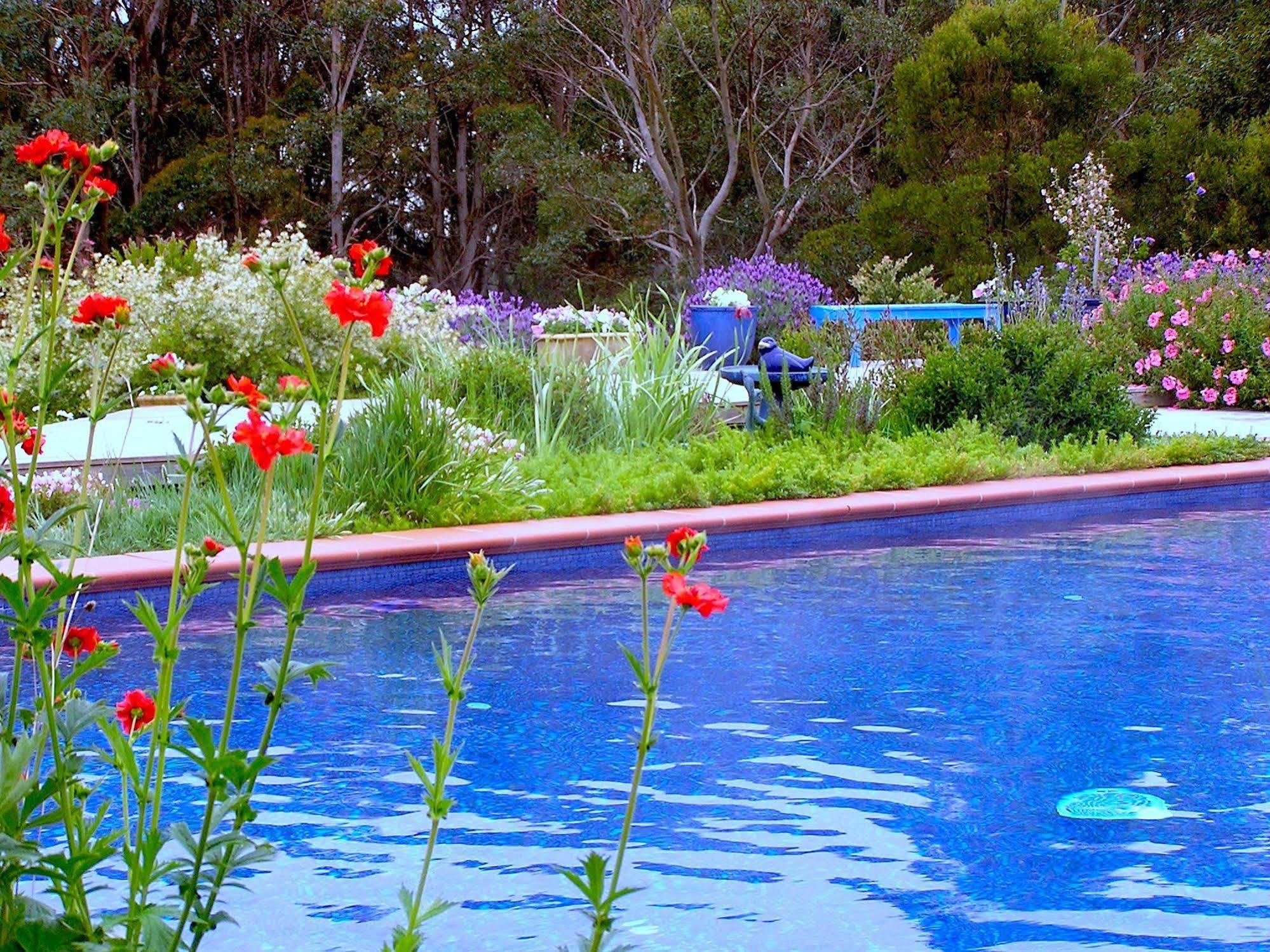 Lemonade Creek Cottages Lorne Exterior foto